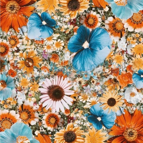 MEET THE POSHER - Picture 1 of 1